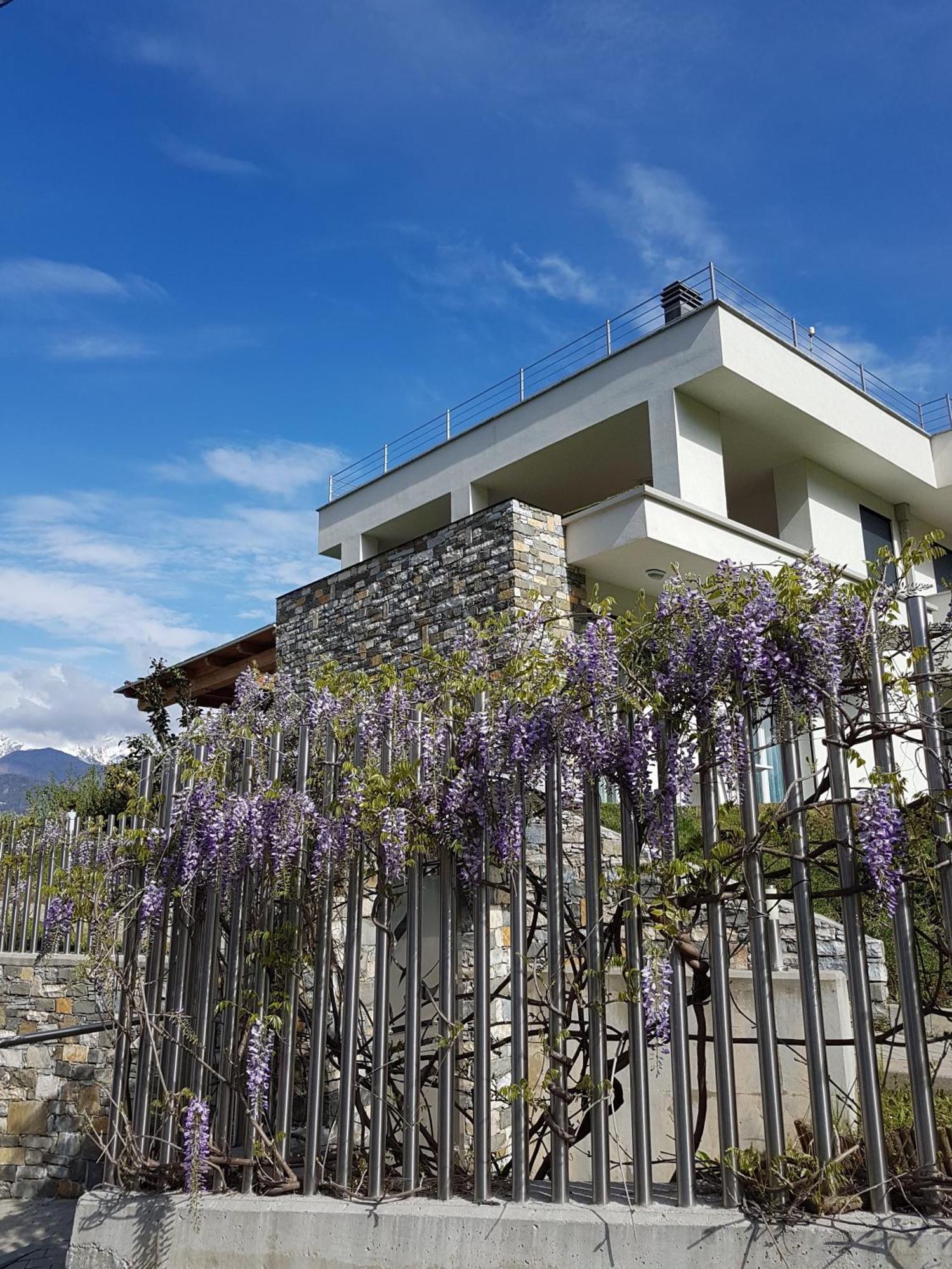 Villa Sole Colico Eksteriør billede
